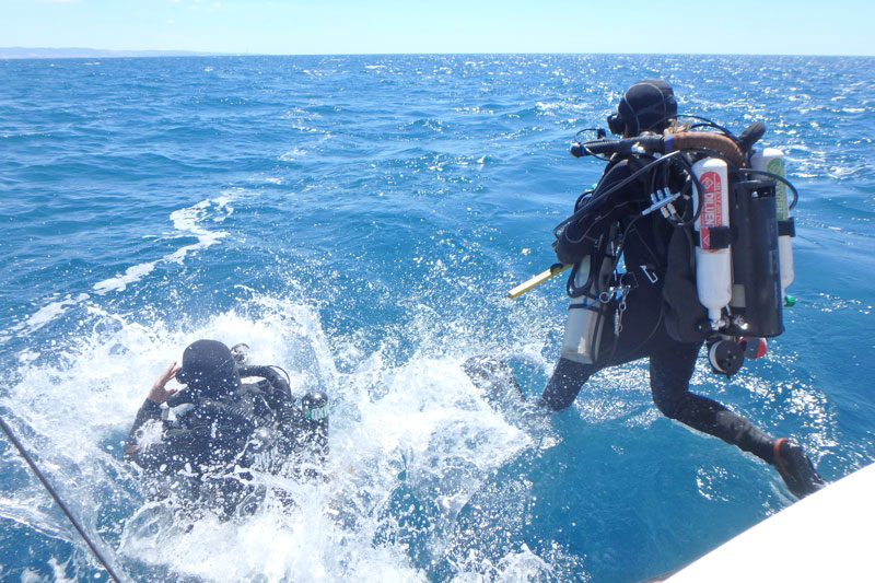 A closed-circuit technical diver. Closed-circuit diving equipment is more complex than that used for open-circuit diving.