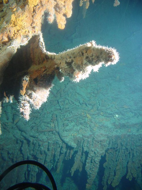Rusticles on the RMS Titanic cover the hanging stern.