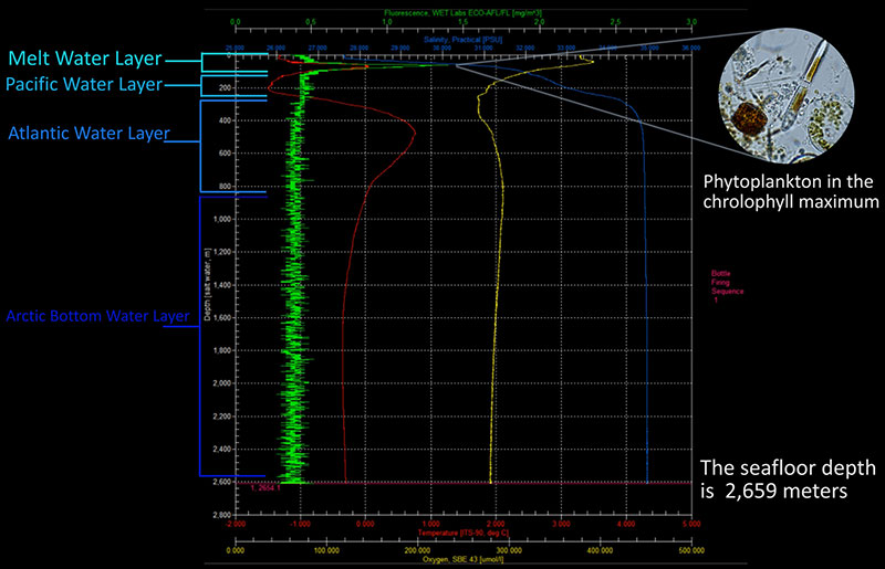 This screenshot of data from a CTD cast conducted during the Hidden Ocean 2016: Chukchi Borderlands expedition shows the different water layers in the Arctic as well as the chlorophyll maximum where most of the phytoplankton live in the water column. Edited by Caitlin Bailey, GFOE, The Hidden Ocean 2016: Chukchi Borderlands. Phytoplankton photo courtesy of Kyle Dilliplaine, UAF, The Hidden Ocean 2016: Chukchi Borderlands. This screenshot of data from a CTD cast conducted during the Hidden Ocean 2016: Chukchi Borderlands expedition shows the different water layers in the Arctic as well as the chlorophyll maximum where most of the phytoplankton live in the water column. Edited by Caitlin Bailey, GFOE, The Hidden Ocean 2016: Chukchi Borderlands. Phytoplankton photo courtesy of Kyle Dilliplaine, UAF, The Hidden Ocean 2016: Chukchi Borderlands.